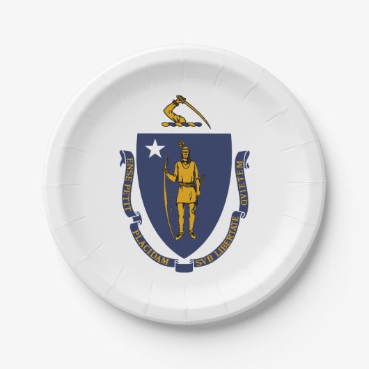Vlag van Massachusetts Papieren Bordje (Voorkant)