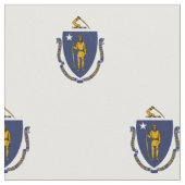 Vlag van Massachusetts Stof (Close Up)