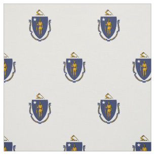 Vlag van Massachusetts Stof