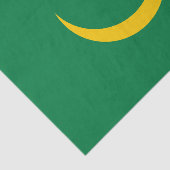 Vlag van Mauritanië oud Tissuepapier (Detail)