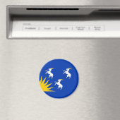 Vlag van Merionethshire magneet (Insitu (Vaatwasser))