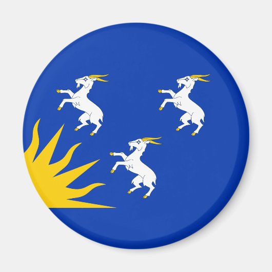 Vlag van Merionethshire magneet (Voorkant)