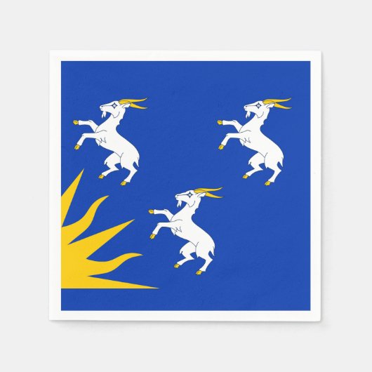 Vlag van Merionethshire Paper Napkins Servet (Voorkant)