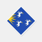 Vlag van Merionethshire Paper Napkins Servet (Hoek)