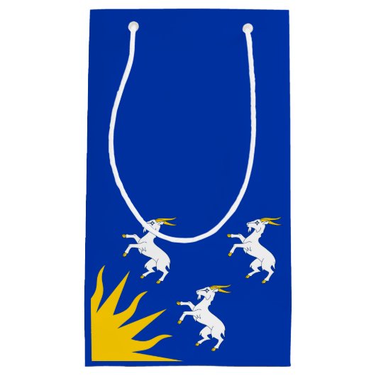 Vlag van Merionethshire Small Gift Bag Klein Cadeauzakje (Voorkant)