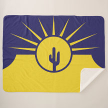 Vlag van Mesa (Arizona, VS)