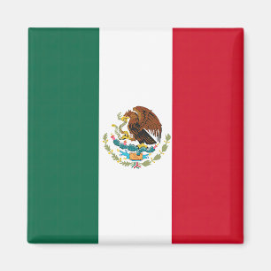 Vlag van Mexico Magneet
