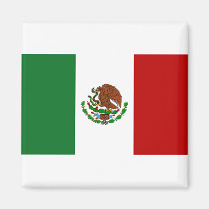 Vlag van Mexico Magneet