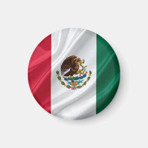 Vlag van Mexico Magneet
