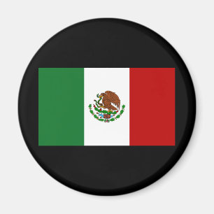 Vlag van Mexico Magneet