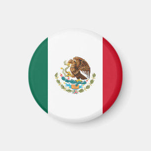 Vlag van Mexico Magneet