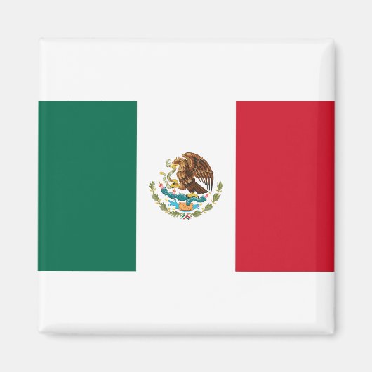 Vlag van Mexico Magneet (Voorkant)
