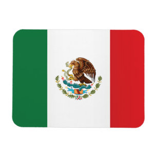Vlag van Mexico Magneet