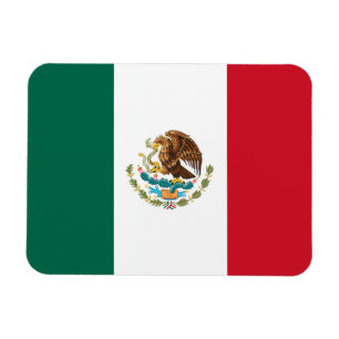 Vlag van Mexico Magneet