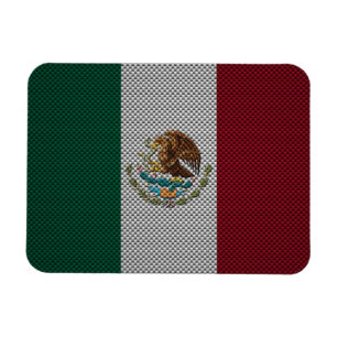 Vlag van Mexico met het effect van koolstofvezel Magneet