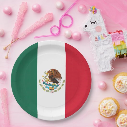 Vlag van Mexico Papieren Bordje (Feest)