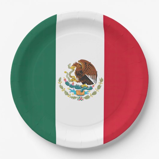 Vlag van Mexico Papieren Bordje (Voorkant)