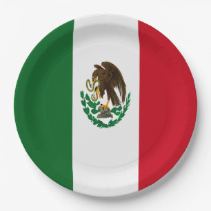 Vlag van Mexico Papieren Bordje