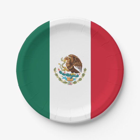 Vlag van Mexico Papieren Bordje (Voorkant)