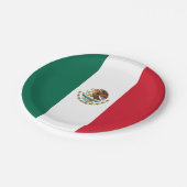Vlag van Mexico Papieren Bordje (Gekanteld)
