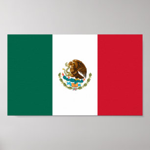 Vlag van Mexico Poster