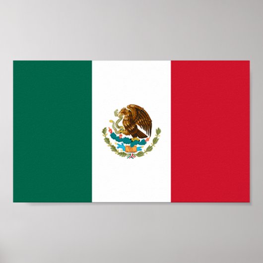Vlag van Mexico Poster (Voorkant)