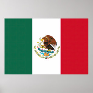 Vlag van Mexico Poster