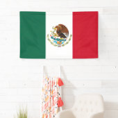 Vlag van Mexico Spandoek (Insitu)