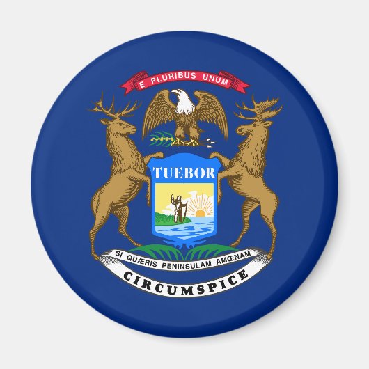 Vlag van Michigan Magneet (Voorkant)