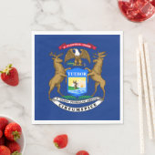 Vlag van Michigan Servet (Insitu)