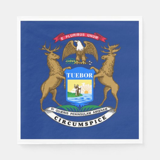 Vlag van Michigan Servet (Voorkant)