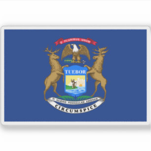 Vlag van Michigan Sticker