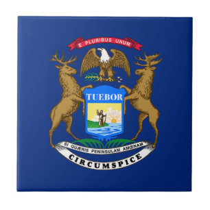 Vlag van Michigan Tegeltje