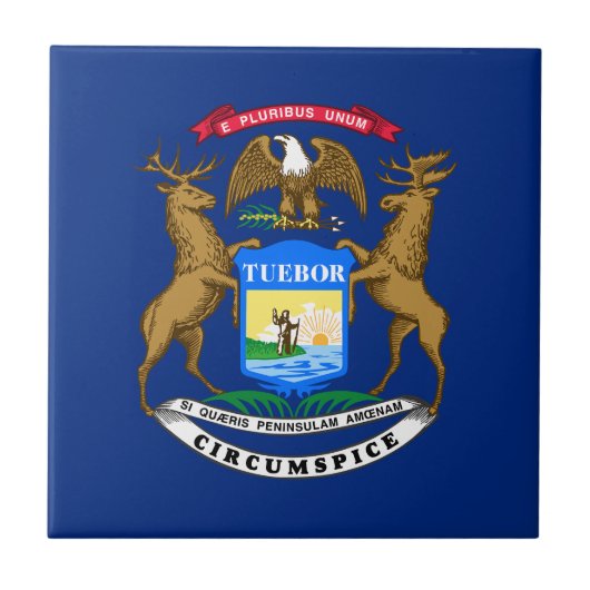 Vlag van Michigan Tegeltje (Voorkant)
