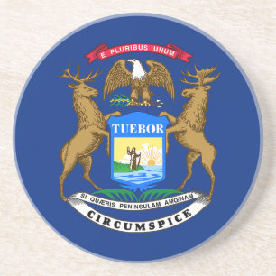 Vlag van Michigan Zandsteen Onderzetter