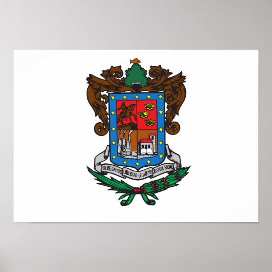 Vlag van Michoacan Poster (Voorkant)