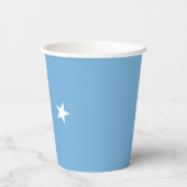 Vlag van Micronesia Papieren Bekers (Achterkant)