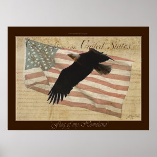 VLAG VAN MIJN HOMELAND ~Bald Eagle US Flag Poster