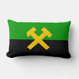 Vlag van mijnwerkers kussen