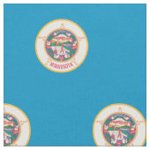 VLAG VAN MINNESOTA STOF (Close Up)