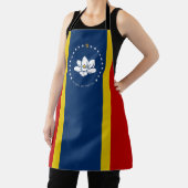 vlag van Mississippi Schort (Insitu)