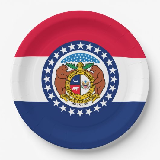 Vlag van Missouri State-ontwerp Papieren Bordje (Voorkant)