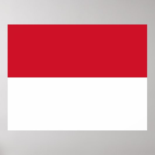 Vlag van Monaco Poster (Voorkant)