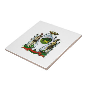 Vlag van Monterrey, Nuevo León - MEXICO Tegeltje