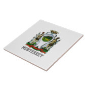 Vlag van Monterrey, Nuevo León - MEXICO Tegeltje (Zijkant)