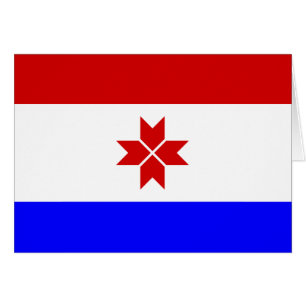 Vlag van Mordovië