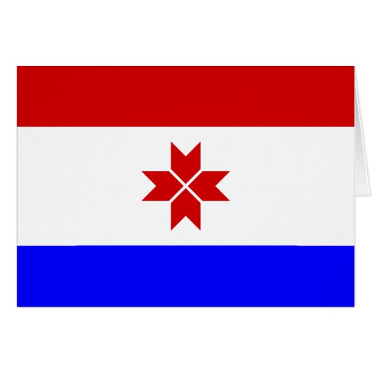 Vlag van Mordovië (Voorkant Horizontaal)