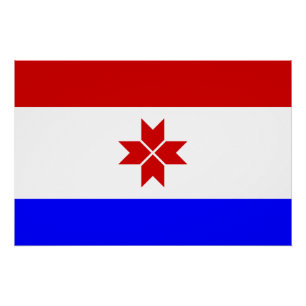 Vlag van Mordovië Perfect Poster