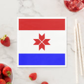 Vlag van Mordovië Servet (Insitu)