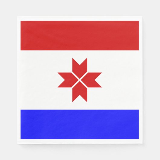 Vlag van Mordovië Servet (Voorkant)